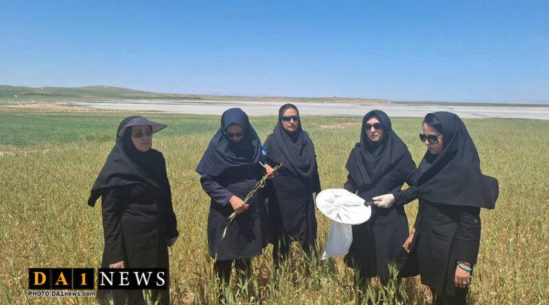 حفظ نباتات آذربایجان غربی