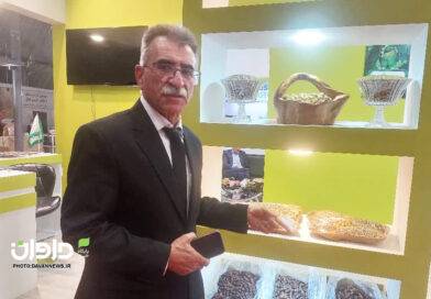 مشکلات ارزی، چالش اصلی صادرات محصولات کشاورزی