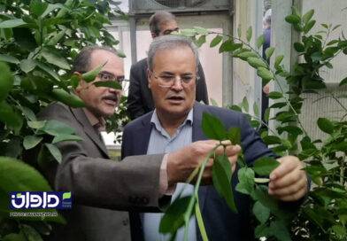 گل محمدی: پژوهش باید به توسعه بینجامد، نه مقاله